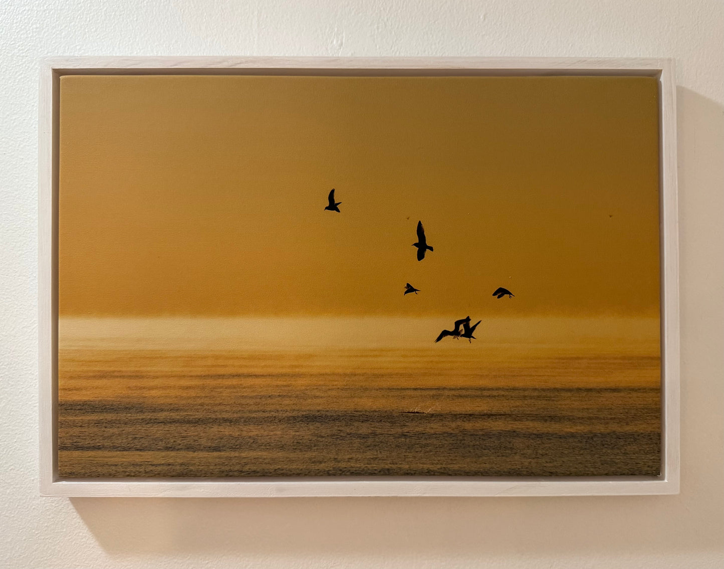 Ocean Sunrise with gulls flying